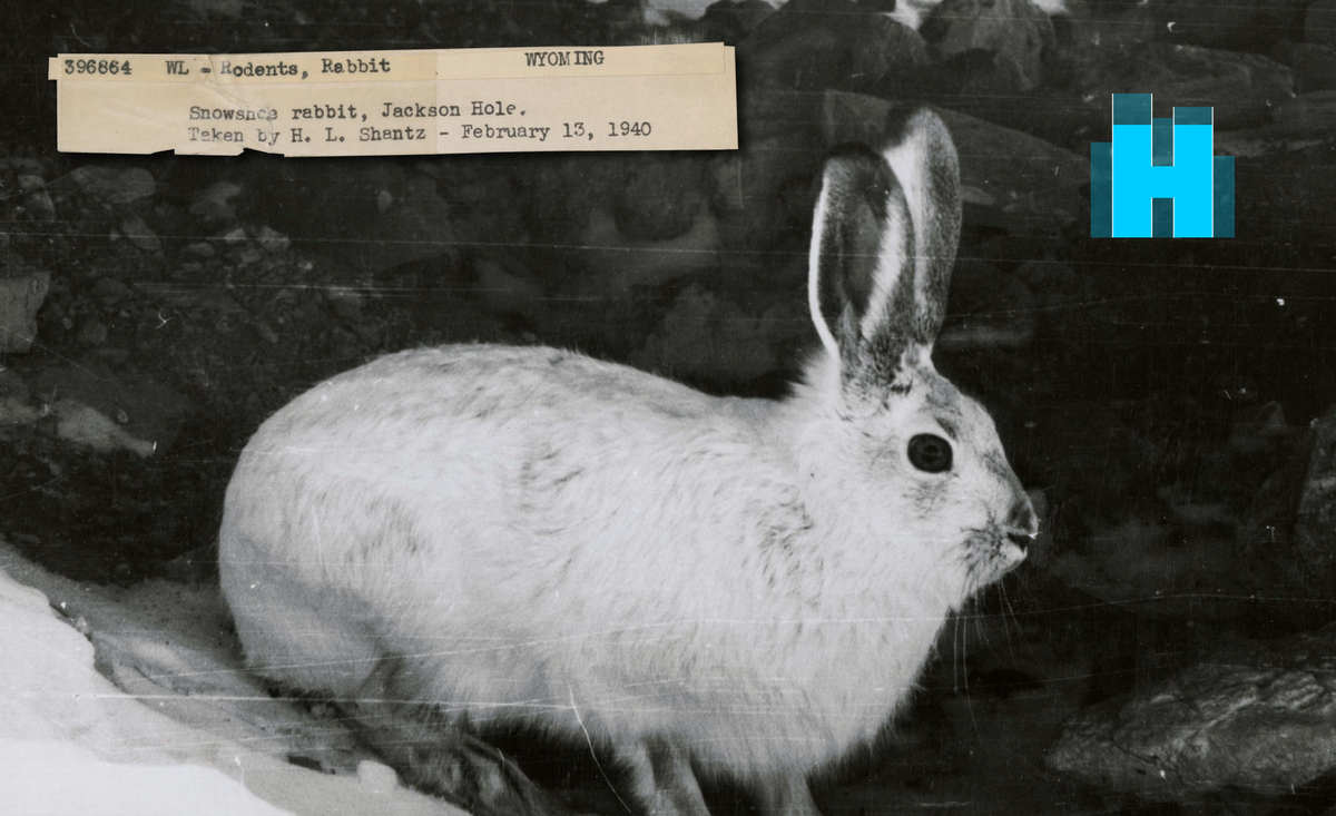 This way madness lies, but you knew that